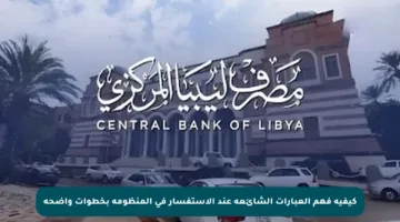 كيفية فهم العبارات الشائعة عند الاستفسار في المنظومة بخطوات واضحة